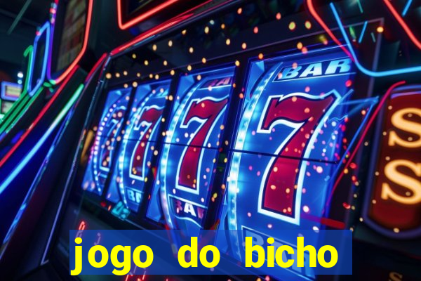 jogo do bicho crash bingo